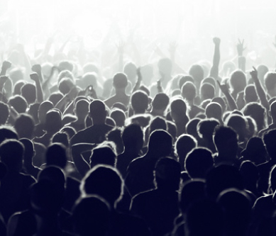 Build Your Online Audience